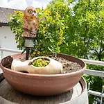 Hotel Angerhof Fiss